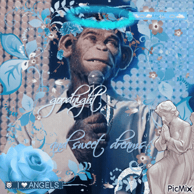 Monkey Holding Microphone Goodnight My Sweet Dreams GIF