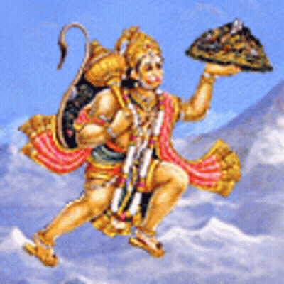 Monkey Holding Plate Of Food GIF