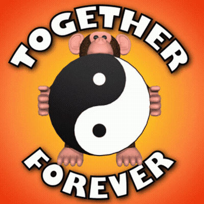 Monkey Holding Yin Yang Saying Together Forever GIF