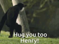 Monkey Hug You Too Henry Funny Hug  GIF