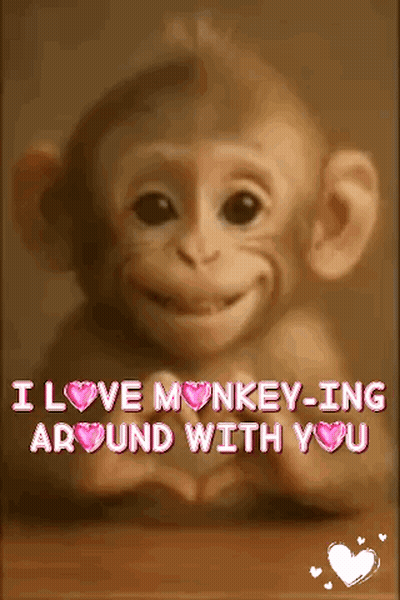 Monkey I Love Monkey-Ing Around With You GIF