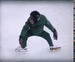 Monkey Ice Skating  GIF