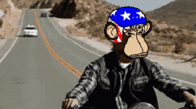 Monkey In American Flag Helmet Riding Motorcycle GIF