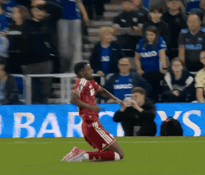 Monkey In Belgium Jersey Holding Flag GIF