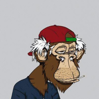 Monkey In Blue Hat Saying Grandpa Ape Country Club GIF