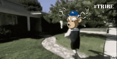 Monkey In Blue Hat Saying Tribe GIF