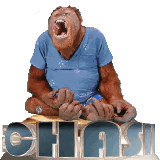 Monkey In Blue Shirt Sitting On Chas Sign Sticker