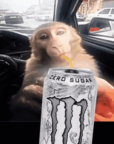 Monkey In Car Drinking Monster Energy GIF