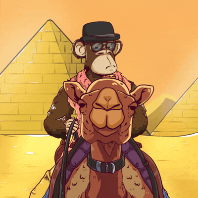 Monkey In Hat And Sunglasses Riding Camel At Pyramid GIF