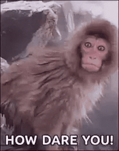Monkey In Hooded Jacket Bathtub How Dare You GIF