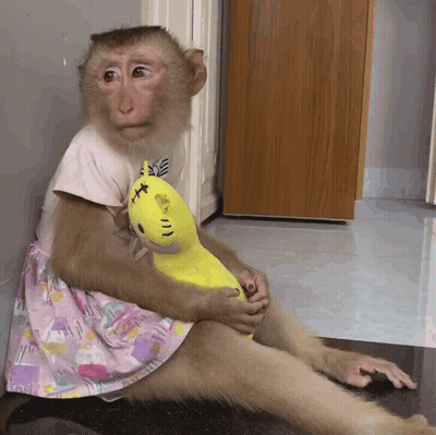 Monkey In Pink Dress Holding Yellow Stuffed Animal GIF