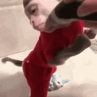 Monkey In Red Outfit Held By Person In Bathroom GIF