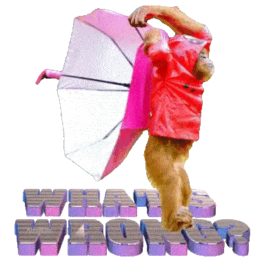 Monkey In Red Shirt Holding Pink Umbrella We Are Wrong Sticker