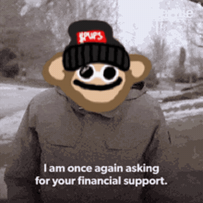 Monkey In Spurs Beanie Asking For Financial Support GIF