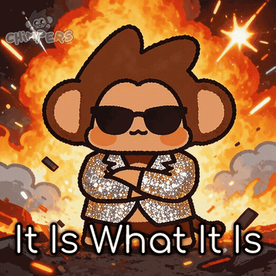 Monkey In Sunglasses And Jacket It Is What It Is GIF