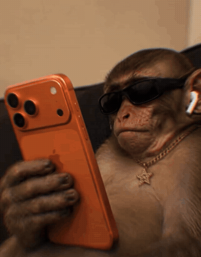 Monkey In Sunglasses And Necklace Holding Orange IPhone GIF