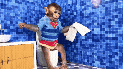 Monkey in Superman Sweater Sitting on Toilet