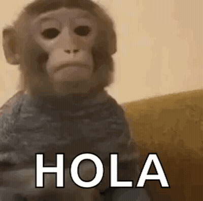 Monkey In Sweater Sitting On Couch GIF