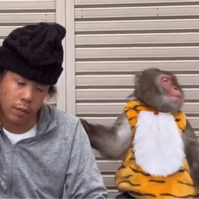 Monkey In Tiger Costume Next To Man In Black Hat GIF