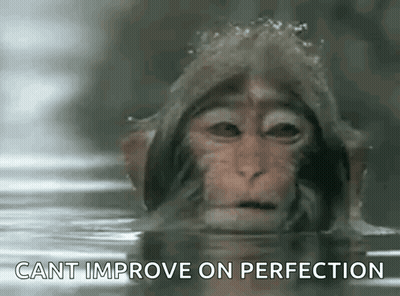 Monkey In Water Cant Improve On Perfection GIF