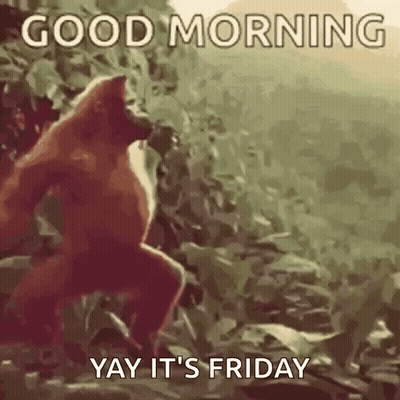 Monkey In Woods Saying Good Morning Yay It's Friday GIF