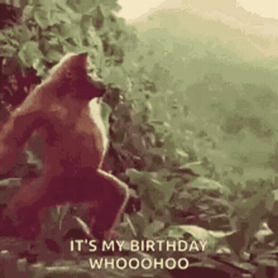 Monkey In Woods Saying It's My Birthday Whoohoo GIF