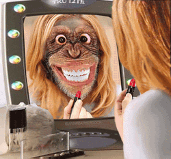 Monkey Kissing After Putting Lipstick On GIF
