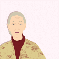 Monkey Kissing Jane Goodal Animation  GIF