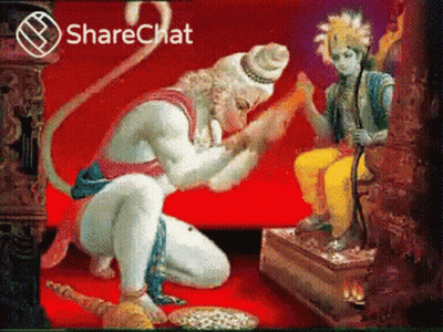 Monkey Kneeling Before Statue Sharechat GIF