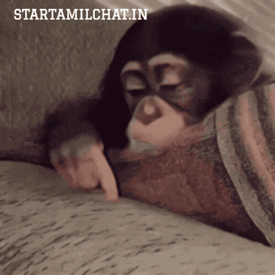 Monkey Laying On Blanket Starttamilchat.in GIF