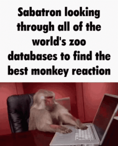 Monkey Looking At Laptop Screen GIF