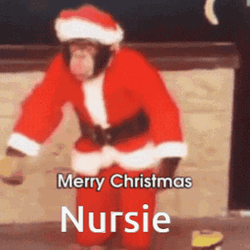Monkey Merry Xmas Costume GIF