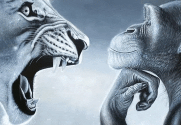 Monkey Monkey Playing With Tiger Meme GIF