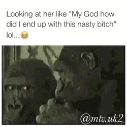Monkey Nasty Meme GIF