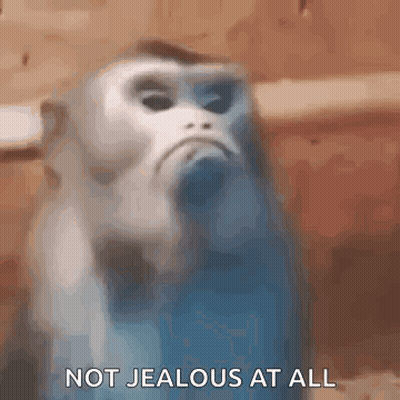 Monkey Not Jealous At All GIF