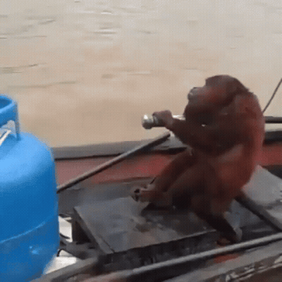 Monkey On Boat Beside Blue Propane Tank GIF