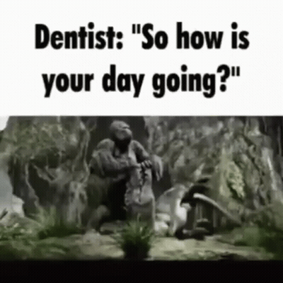 Monkey On Rock Asking Dentist How's Your Day GIF
