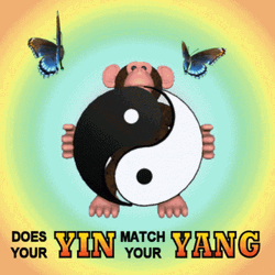  Monkey Playing Yin Yang GIF