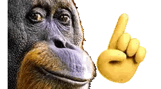 Monkey Pointing Up Sticker