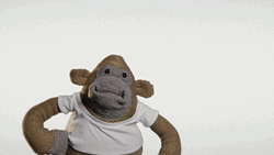 Monkey Puppet Oh Snap GIF