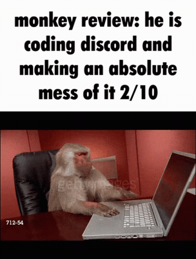 Monkey Review : He Is Coding Discord And Making An Absolute Mess Of It GIF