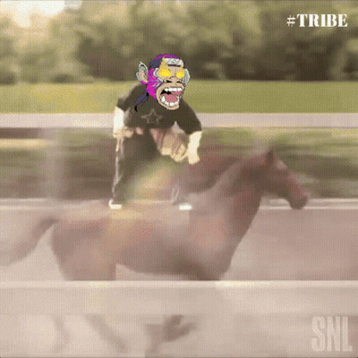 Monkey Riding Horse with SNL Logo