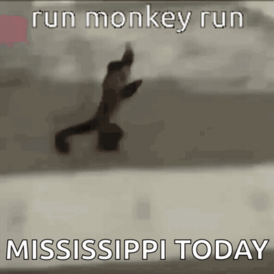 Monkey Running In Air Saying Run Monkey Run Mississippi Today GIF