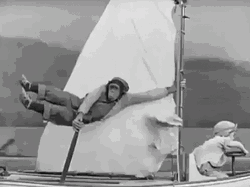 Monkey Sailing And Flying