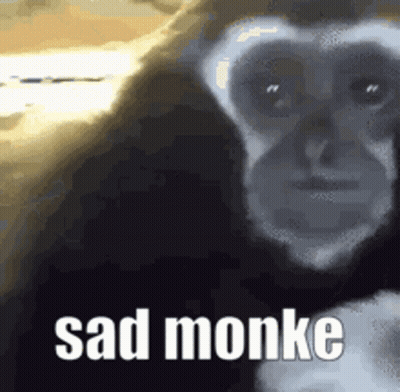 Monkey Saying Even She Was Weirded Tf Out GIF