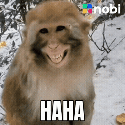 Monkey Saying Haha GIF