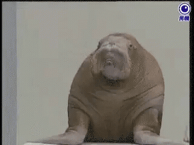 Monkey Saying Hmm Very Interesting GIF