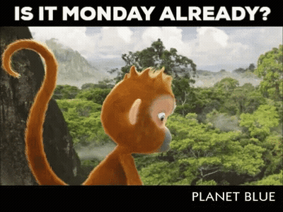 Monkey Saying Is It Monday Already GIF