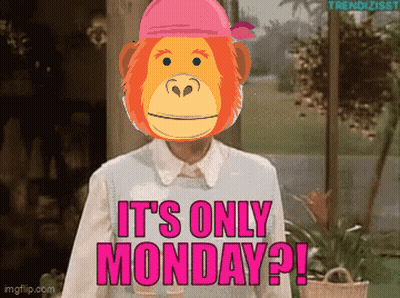 Monkey Saying It's Only Monday In Pink Bandana GIF