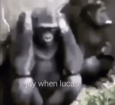 Monkey Saying Jay When Lucas GIF